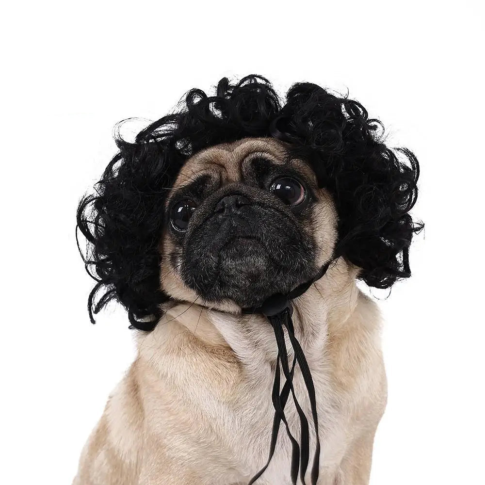 Pet Wigs