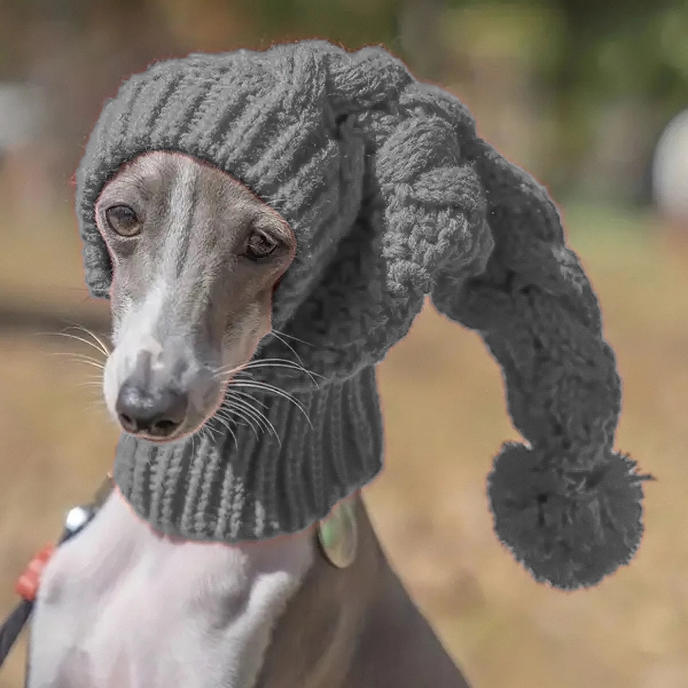 Hand knit winter wool beanie hat dog