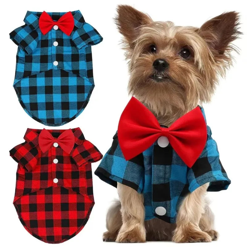 Dress for Pet, Shirt Suit