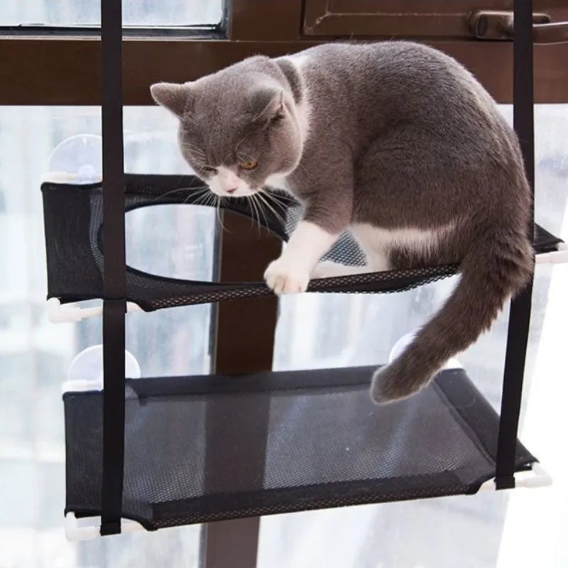 Window Bed for Kitten