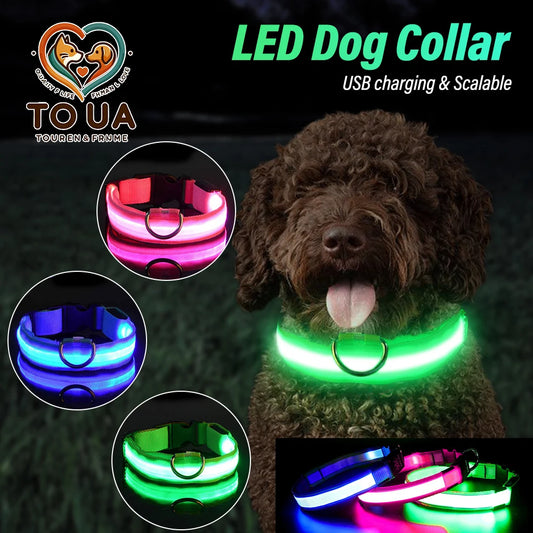 Dog Collar Rechargeable Light Up