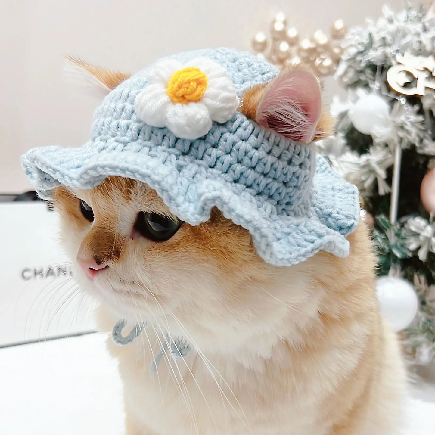 Cute Refined Cat Hat Elastic