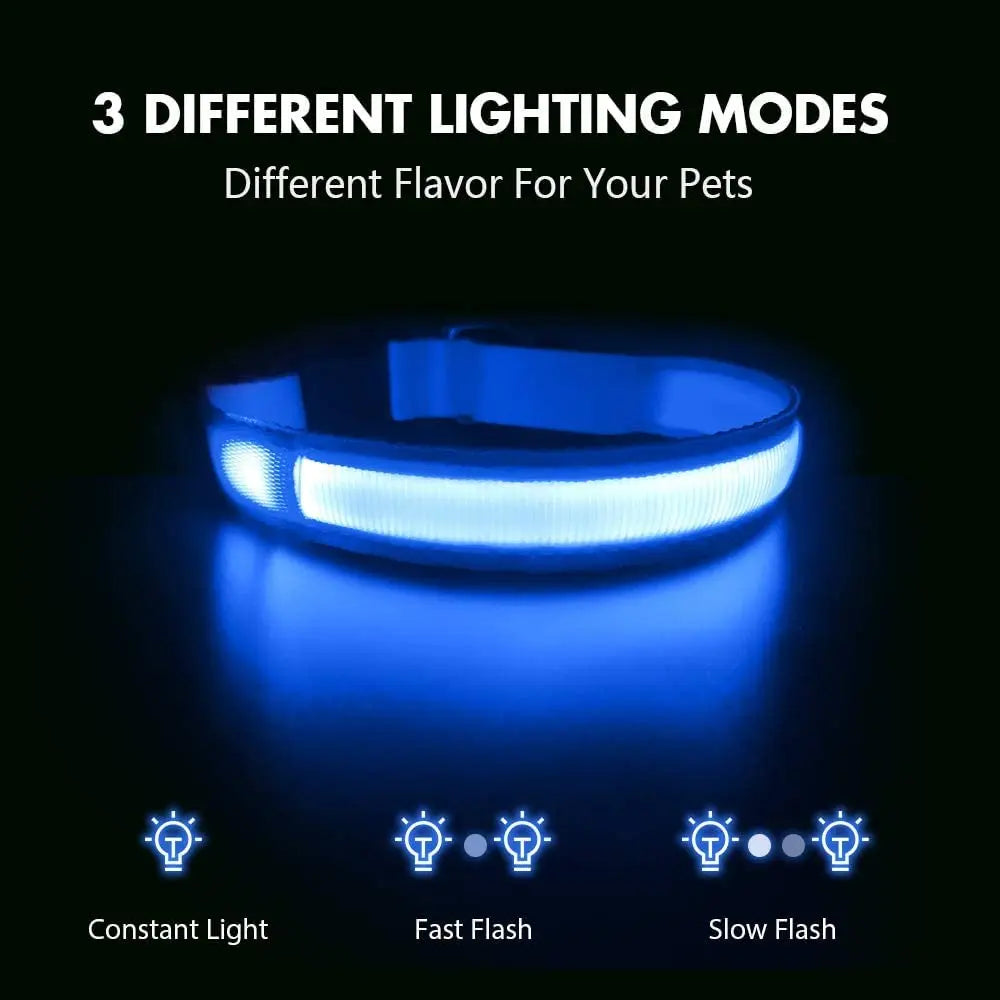 Dog Collar Rechargeable Light Up