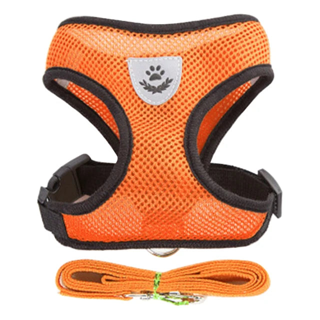 Cat Harness Adjustable Vest