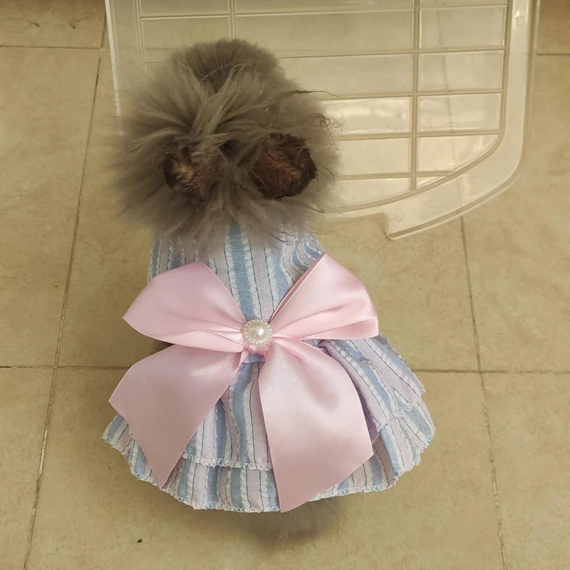 Cat Puppy Princess Dress