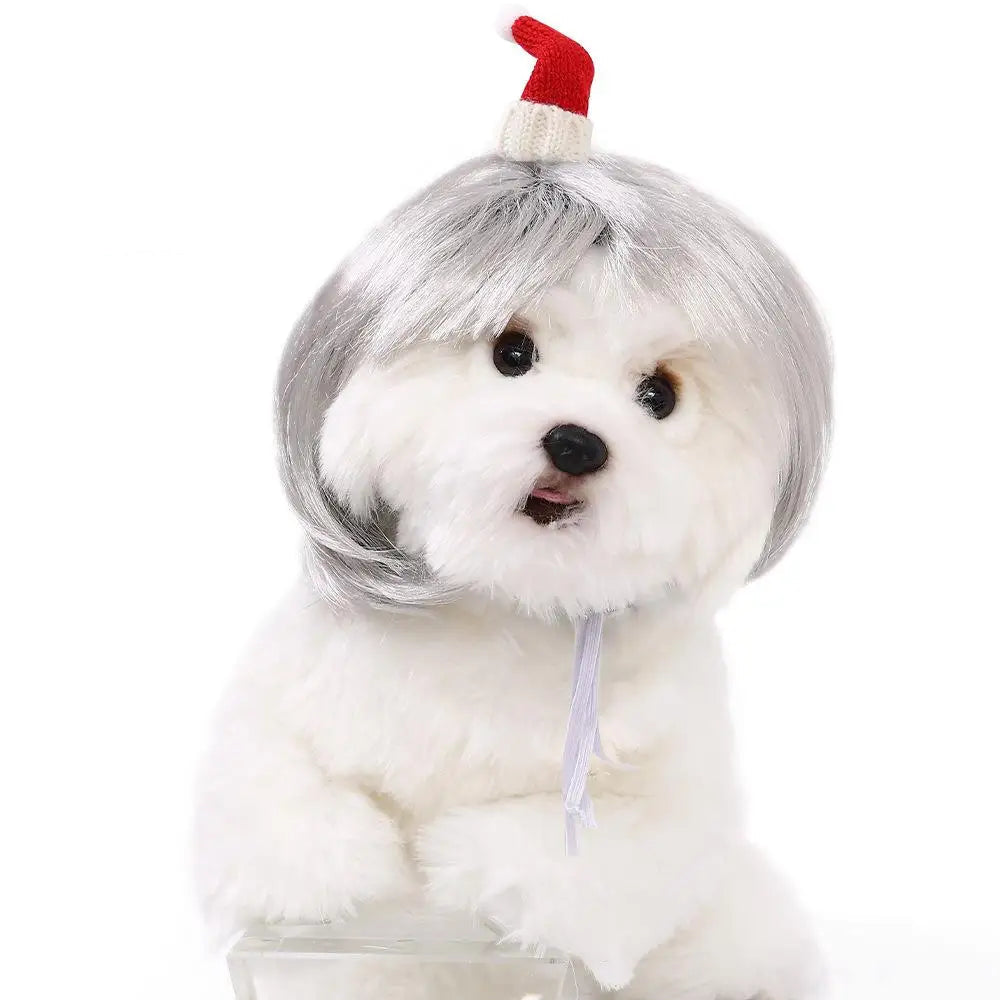 Pet Wigs