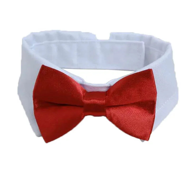 Adjustable Pets Bow Tie