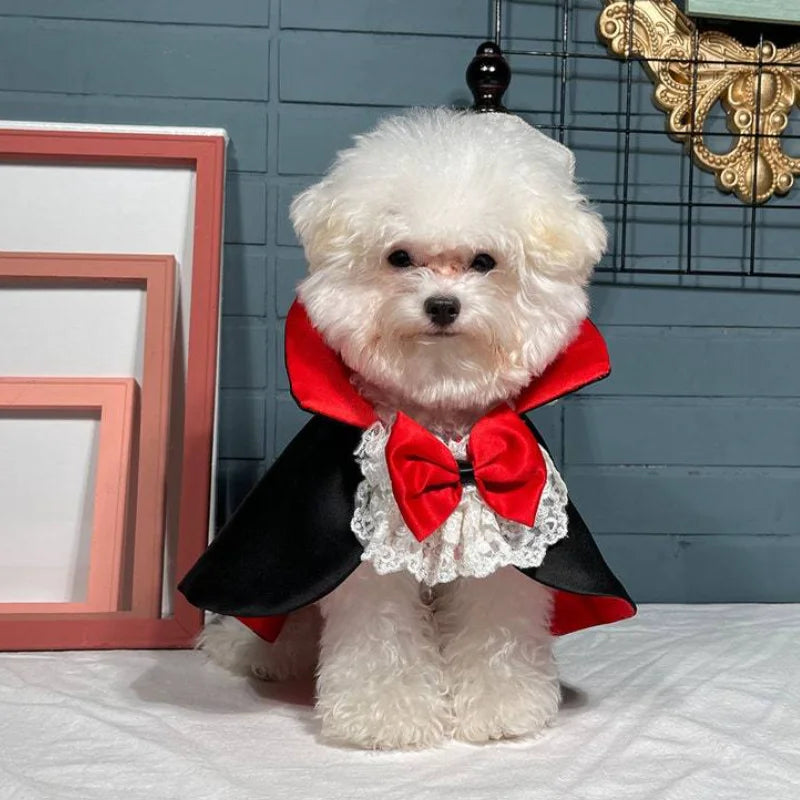 Halloween Vampire Cape for dogs