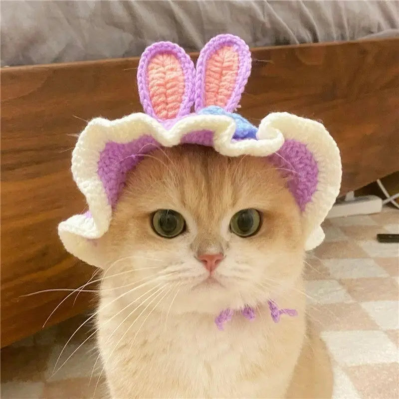 Cute Refined Cat Hat Elastic