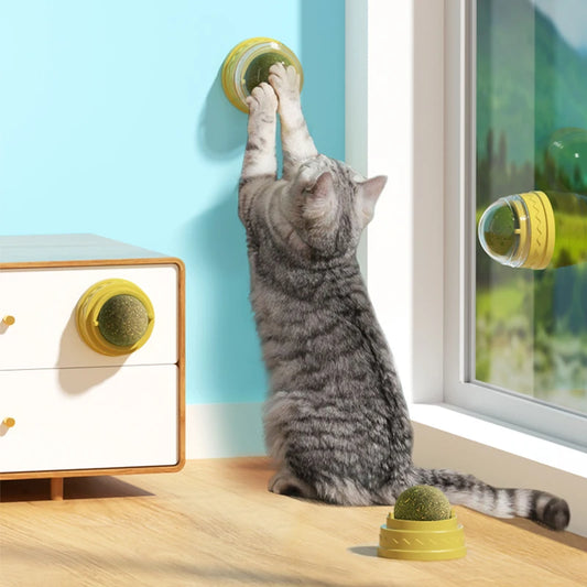 Catnip Wall Stick-on Ball Toy