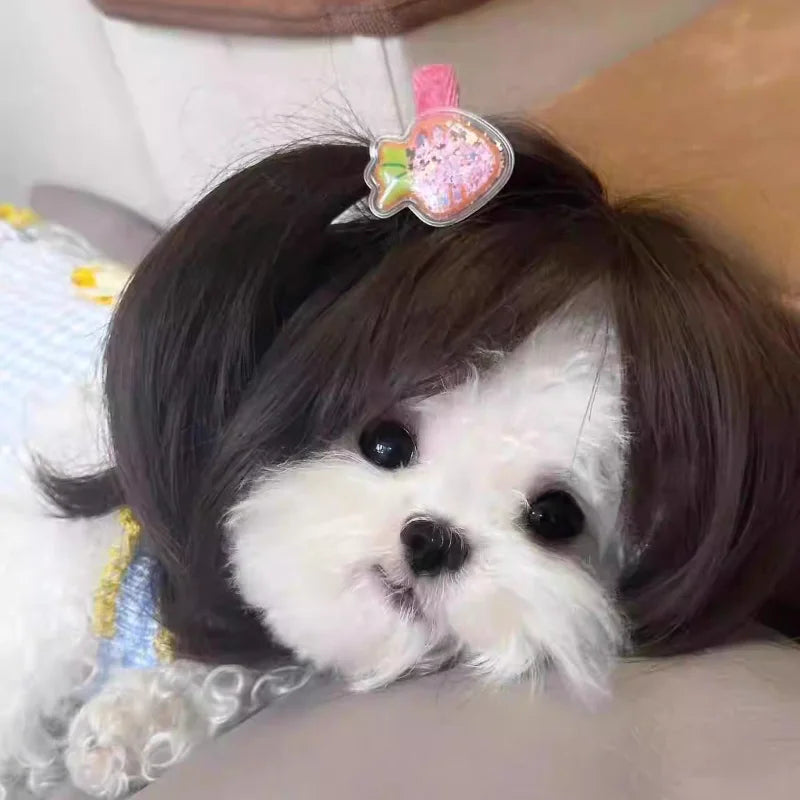 Pet Wigs