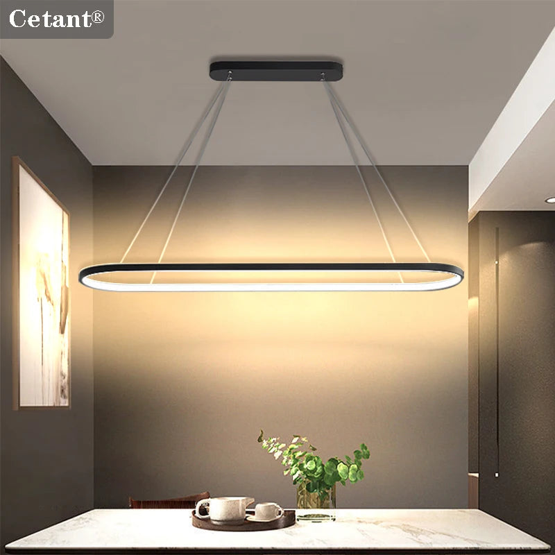 Modern LED Pendant Light Elliptical